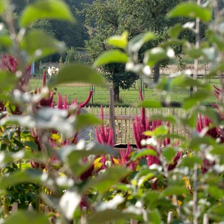 Ferienwohnung Mohnblume Pulzig Zewnętrze zdjęcie