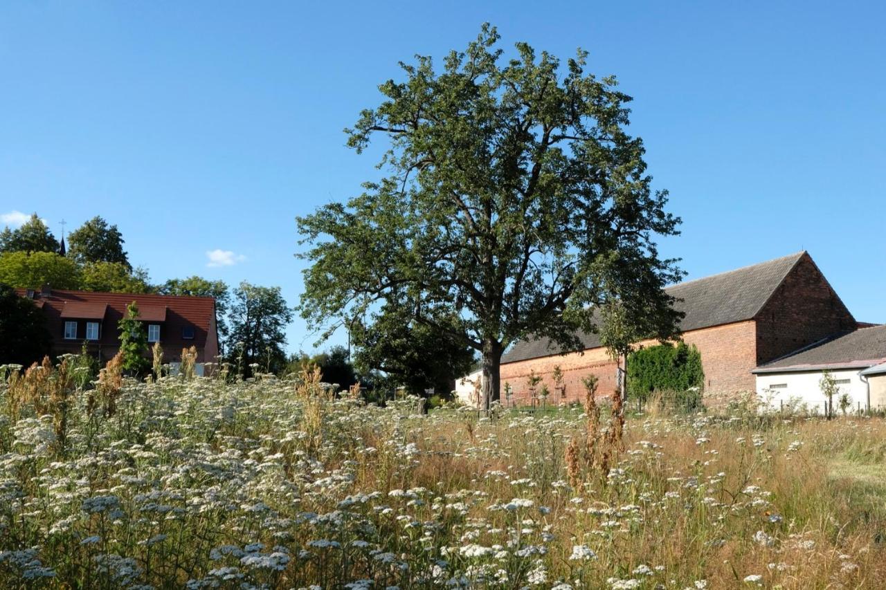 Ferienwohnung Mohnblume Pulzig Zewnętrze zdjęcie