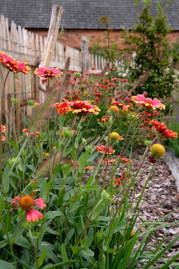 Ferienwohnung Mohnblume Pulzig Zewnętrze zdjęcie